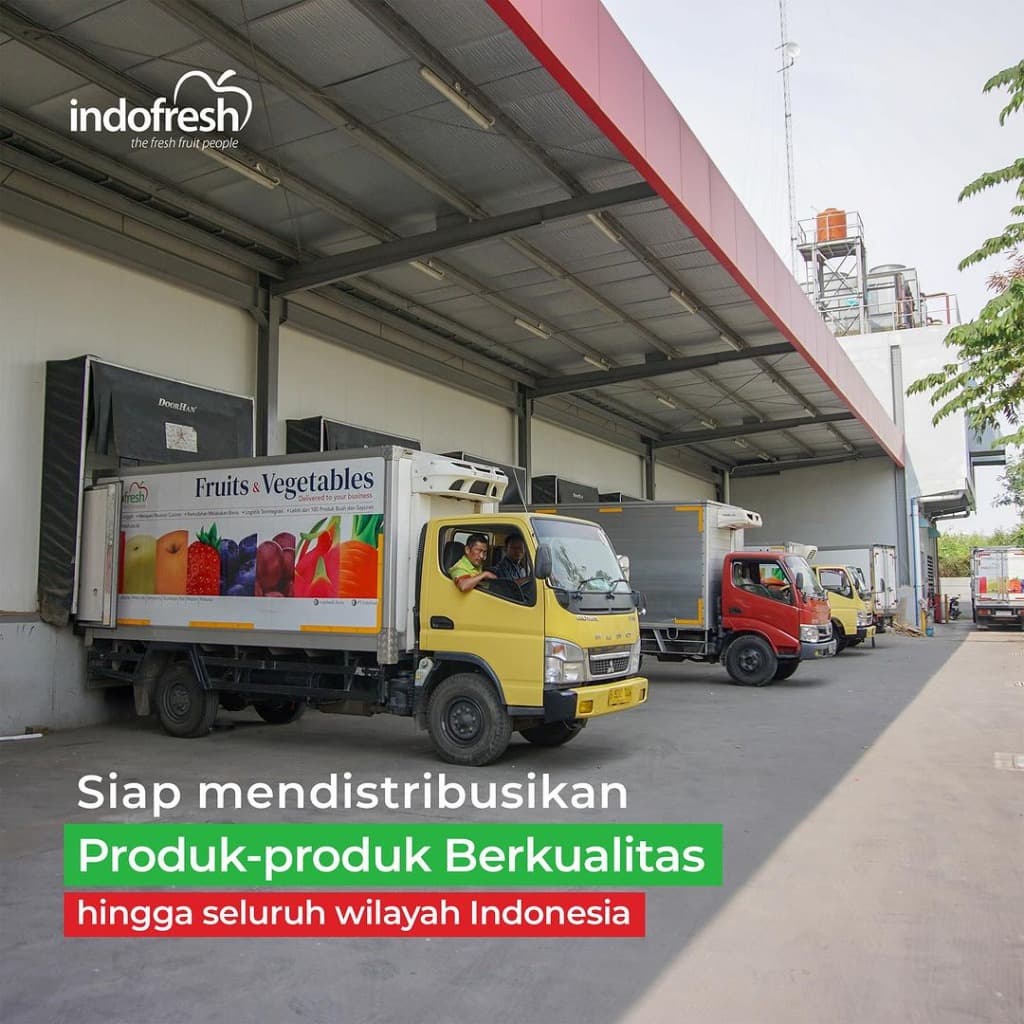 Logistik & Distribusi Indofresh
